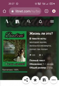 Budini - Жизнь ли это?