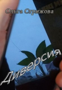Ольга Стрижова - Диверсия