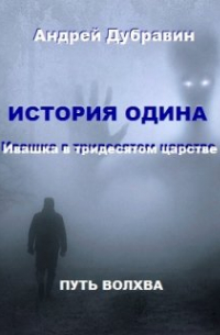 Андрей Дубравин - «ивашка в тридесятом царстве»: История Одина