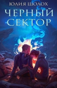 Чёрный сектор