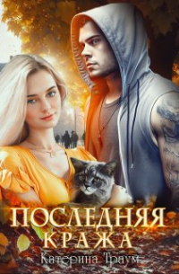 Катерина Траум - Последняя кража