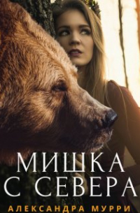 Мишка с севера