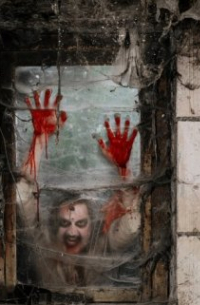 Приют для животных