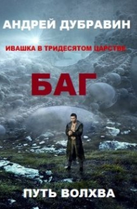 Андрей Дубравин - Ивашка в тридесятом царстве Книга 1 Багатырь