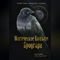 Кейтлин Эмилия Новак - Магическое кольцо Бродгара «Наследство». Книга 1