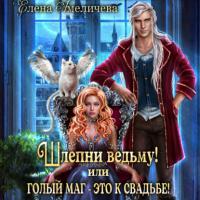 Елена Амеличева - Шлепни ведьму! или Голый маг – это к свадьбе!