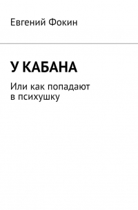 Евгений Фокин - У кабана. Или как попадают в психушку