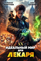  - Идеальный мир для Лекаря 20