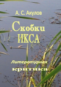 Александр Сергеевич Акулов - Скобки икса. Литературная критика