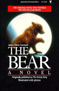 The Bear