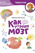 Как устроен мозг