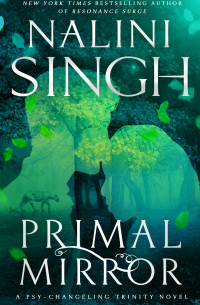 Primal Mirror