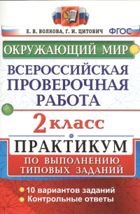 Всероссийская проверочная работа. Окружающий мир. Практикум. 2 класс. ФГОС