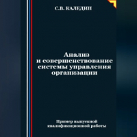 Сергей Каледин - Анализ и совершенствование системы управления организации