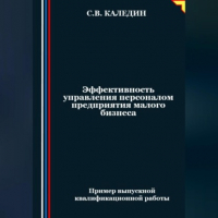 Сергей Каледин - Эффективность управления персоналом предприятия малого бизнеса