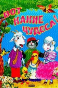 Роза Здитовецкая - Вот какие чудеса!