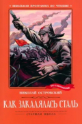 Николай Островский - Как закалялась сталь