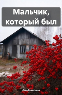 Мальчик, который был