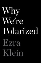 Ezra Klein - Why We&#039;re Polarized