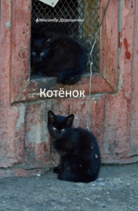 Котёнок