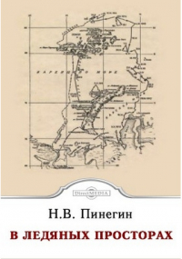 Николай Пинегин - В ледяных просторах