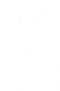 Гибель Империи. Северный фронт