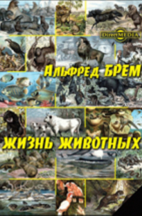 Путешествие по Нилу