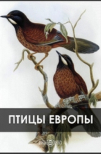 Птицы Европы