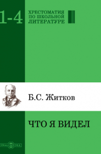 Борис Житков - Что я видел