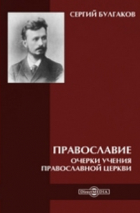 Православие. Очерки учения православной церкви