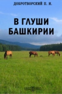 Петр Добротворский - В глуши Башкирии