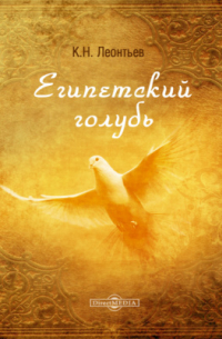 Египетский голубь