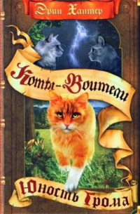 Юность Грома