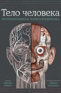 Тело человека. Интерактивная книга-панорама