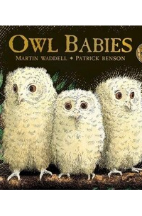 Owl babies