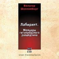 Вальтер Шелленберг - Лабиринт. Мемуары гитлеровского разведчика