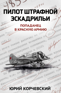 Пилот штрафной эскадрильи