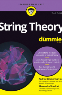 String Theory For Dummies