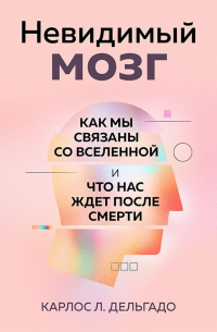 Невидимый мозг. Как мы связаны со Вселенной и что нас ждет после смерти