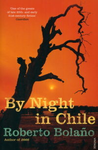 By Night in Chile