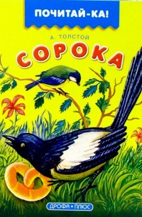 Сорока