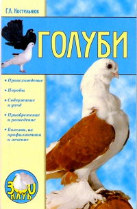 Голуби