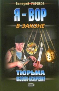 Валерий Горшков - Тюрьма особого назначения: Роман
