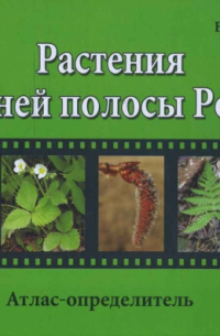 Растения Средней полосы России: Атлас-определитель