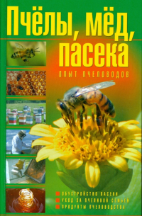 Пчелы, мед, пасека: опыт пчеловода