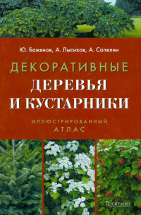 Декоративные деревья и кустарники. Иллюстрированный справочник
