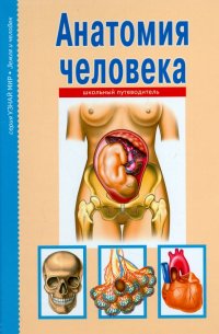 Анатомия человека. Школьный путеводитель