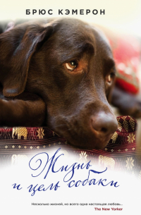 Жизнь и цель собаки