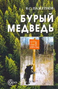 Бурый медведь