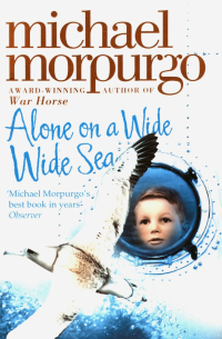 Alone on a Wide Wide Sea